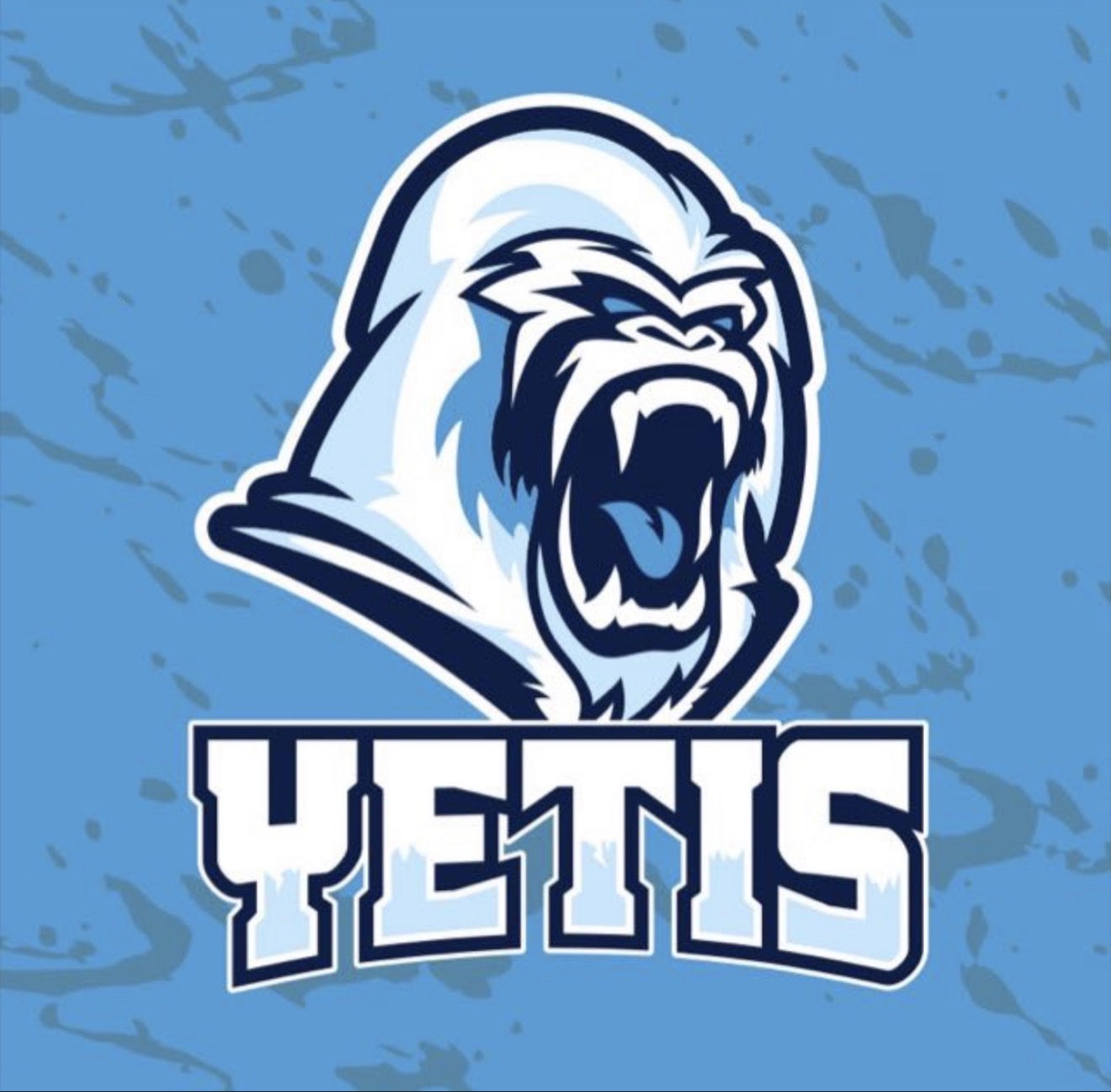 YETIS